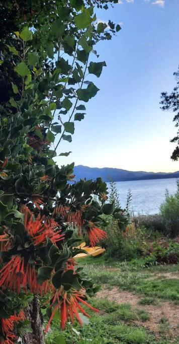 Casita Rustica A Orillas De Lago Villa San Carlos de Bariloche Exterior photo